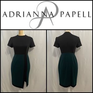Adrianna Papell green and black sheath dress.  Size 4P